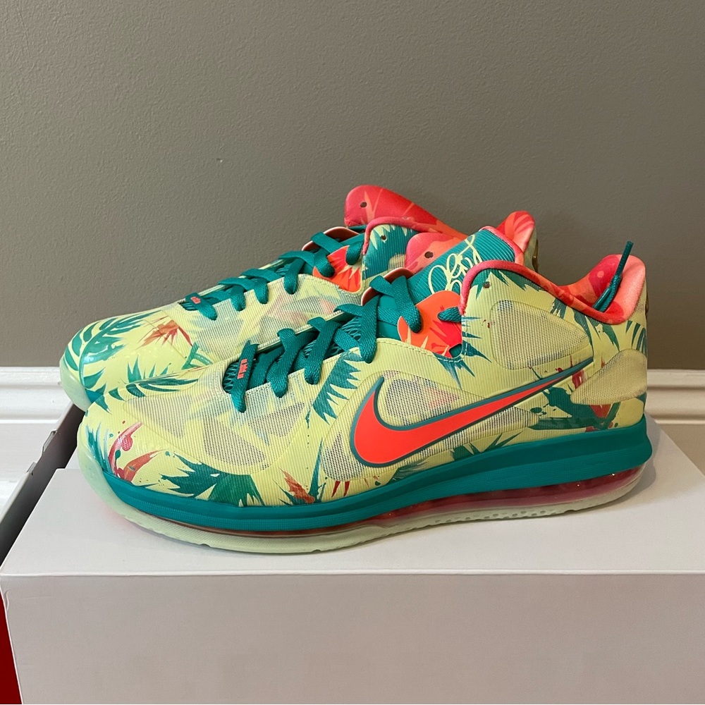 Nike LeBron IX Low “Lebronald Palmer” size 12